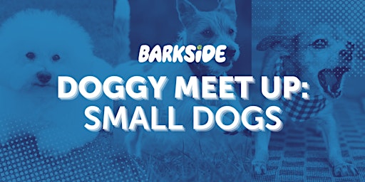 Imagen principal de Doggy Meet Up: Small Dogs