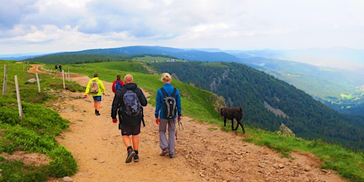 Hauptbild für 03.10.24 Wanderdate SingleReise in die Vogesen ab 40J