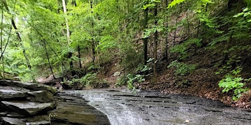 Hauptbild für Watershed Field Experience for Secondary Teachers (MWEE)