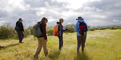 Primaire afbeelding van Whetstone Savanna Morning Nature Observation