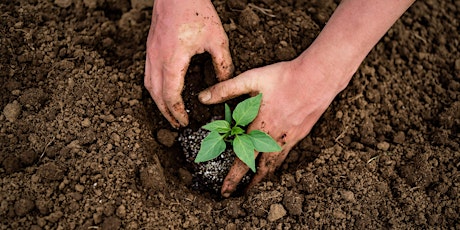 Plan Before You Plant: Gardening 101