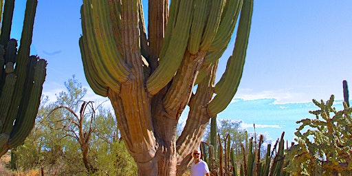 On Growth and Form: Ecology and Evolution of Columnar Cacti primary image