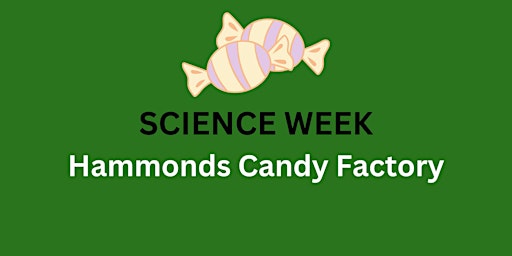 Imagem principal do evento Hammonds Candy Factory
