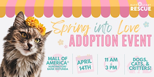 Primaire afbeelding van Spring into Love Adoption Event with Ruff Start Rescue