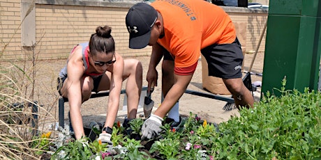 A Broader Green: An Earth Day Service Project