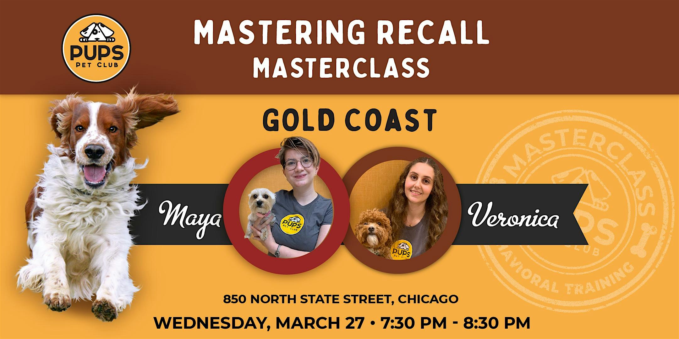 Mastering Recall – Gold Coast 24