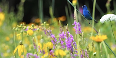 Primaire afbeelding van Nature Seekers