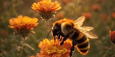 Painting with Acrylics 2 Flowers & Bees primary image