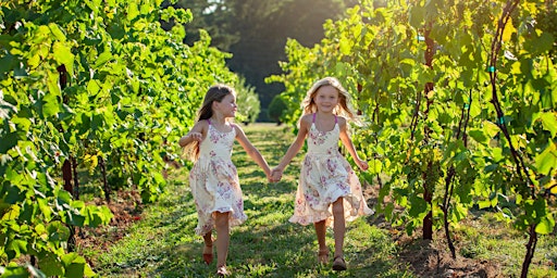 Primaire afbeelding van Easter Egg Hunt