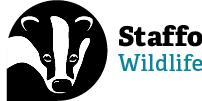 Hauptbild für Staffordshire Wildlife Trust - Biddulph Grange Country Park Guided walk
