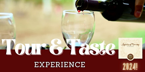 Spirits Of Norway Vineyard Tour & Taste Experience primary image