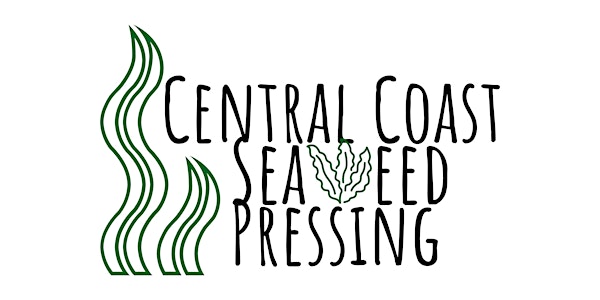 Seaweed Pressing Workshop! A craft that dates back to the Victorian era.