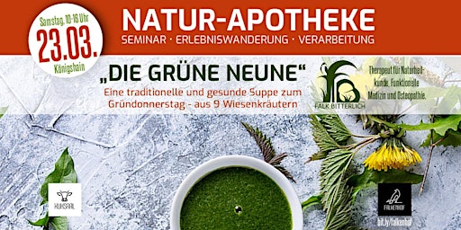 Imagem principal de Natur-Apotheke - Die grüne Neune| Seminar • Wanderung • Verarbeitung