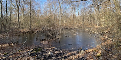 Hauptbild für Vital Vernal Pools