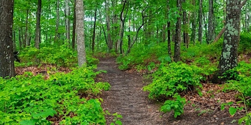 Hauptbild für Beaman Park 12.5 Mile Hike