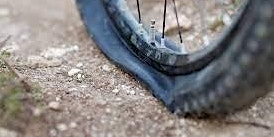 Primaire afbeelding van Trek Bicycle Winter Garden Flat Tire Clinic