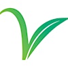 Verde Clean's Logo