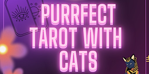 Imagem principal do evento Purrfect Tarot with Purrfect Cats
