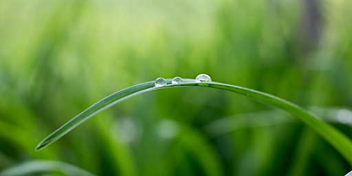 Hauptbild für ANTI-STRESS: A DAY RETREAT