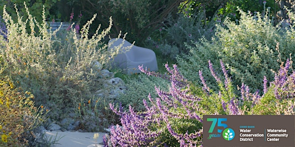 Spring Waterwise and California Native Garden Care