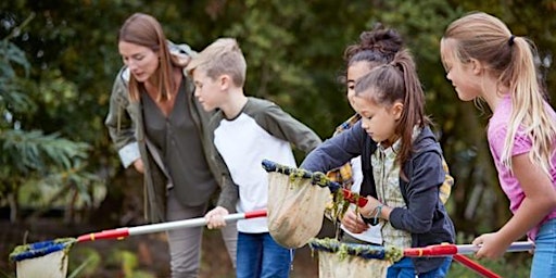 Boroondara School Holiday Sustainability Program: Water, water, everywhere! primary image