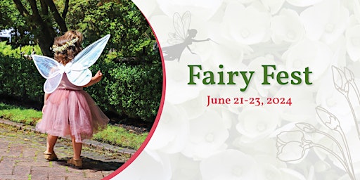 Imagem principal do evento Fairy Fest