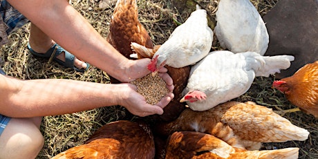 Boroondara School Holiday Sustainability Program: Farming for our Future primary image