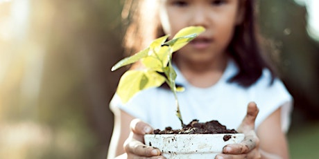 Boroondara School Holiday Sustainability Program: Exploring Ecosystems