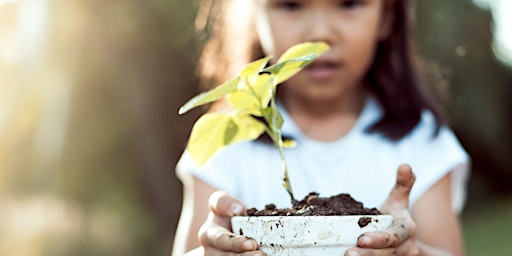 Image principale de Boroondara School Holiday Sustainability Program: Exploring Ecosystems