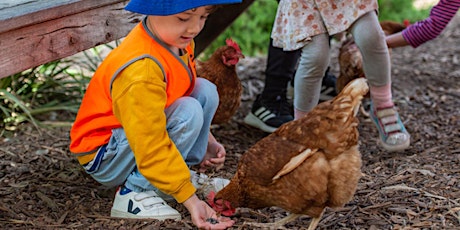 Boroondara School Holiday Sustainability Program: Farm to Fork