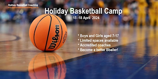 Primaire afbeelding van Holiday Basketball Camp