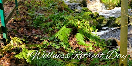 Wellbeing retreat day for Men primary image