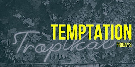 Primaire afbeelding van TEMPTATION FRIDAY'S