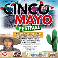 Primaire afbeelding van Cinco de Mayo Festival