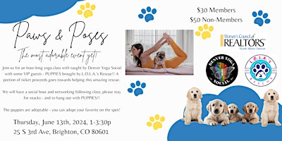 Primaire afbeelding van Paws & Poses: Puppy Yoga Paradise