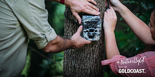 Primaire afbeelding van NaturallyGC Wildlife Watch Citizen Science