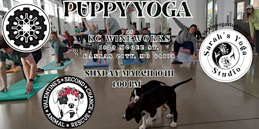 Puppy Yoga at KC Wineworks primary image