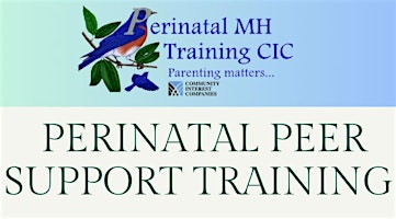 Imagen principal de P erinatal Peer Support Training