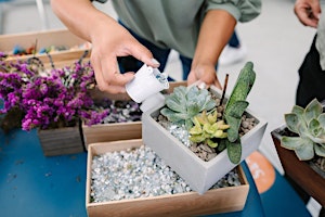 Imagem principal do evento Earth Day Succulent Workshop