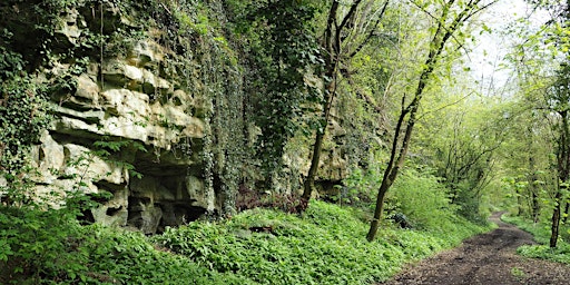 Hauptbild für Walk 31 Forgotten Places: Lost and Found 9 miles