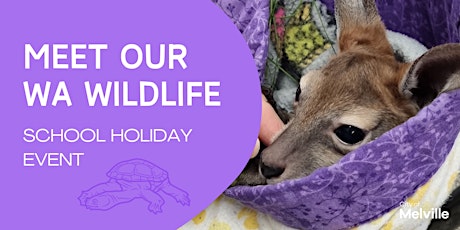 Meet our WA Wildlife!