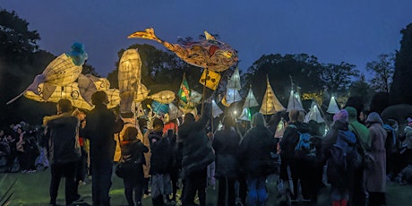 Finishing off Alpaca and Camel making willow lantern workshops.