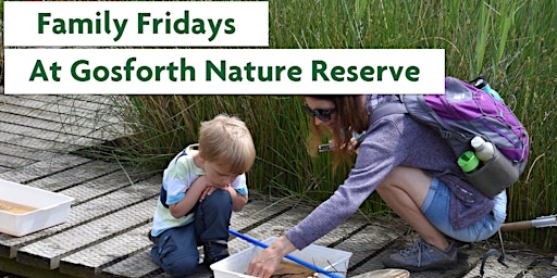 Image principale de Family Fridays - Pond Dipping at Gosforth Nature Reserve