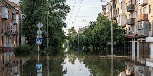 Primaire afbeelding van Global environmental challenges: lessons from Ukraine
