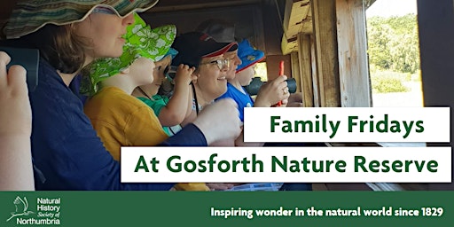 Imagem principal do evento Family Fridays - Bugs and Birds at Gosforth Nature Reserve