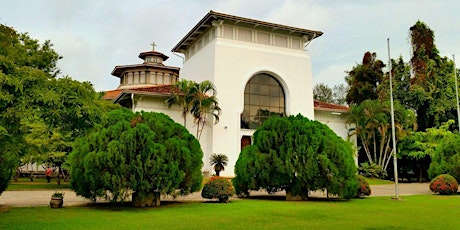 Cathedral of Christ the Living Saviour: Tour of the Trees