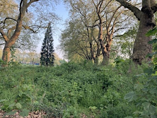 London Fields Biodiversity - site development and upkeep May 2024