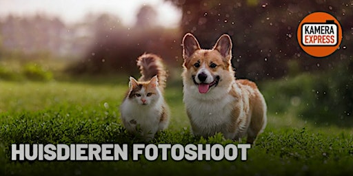 Dierendag Event - Ga met je huisdier op de foto - in Arnhem  primärbild