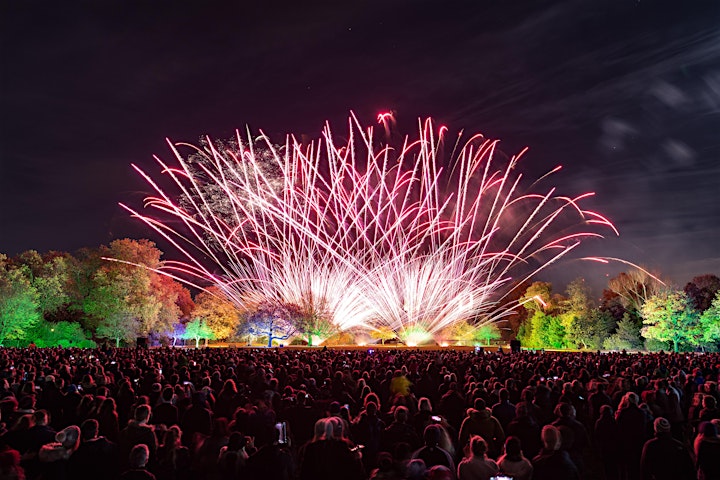Wandsworth Council's Battersea Park Fireworks 2019 image
