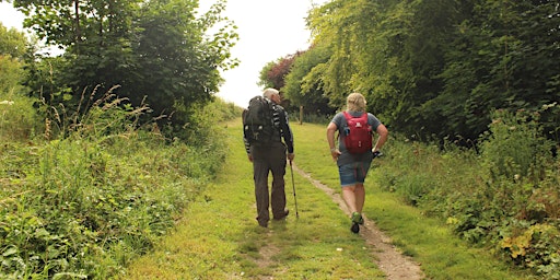 Image principale de Friston Forest From East Dean (Bronze)| 6-Miles - 5th May 2024